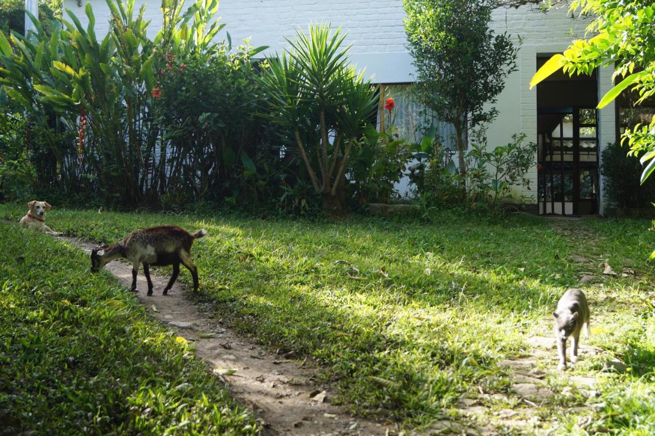 Skale Peregrino Casa de hóspedes Choachí Exterior foto